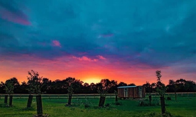 Monk Soham Cabin | Experience Honeysuckle Farm Hut 3: Top-Rated Suffolk Retreat