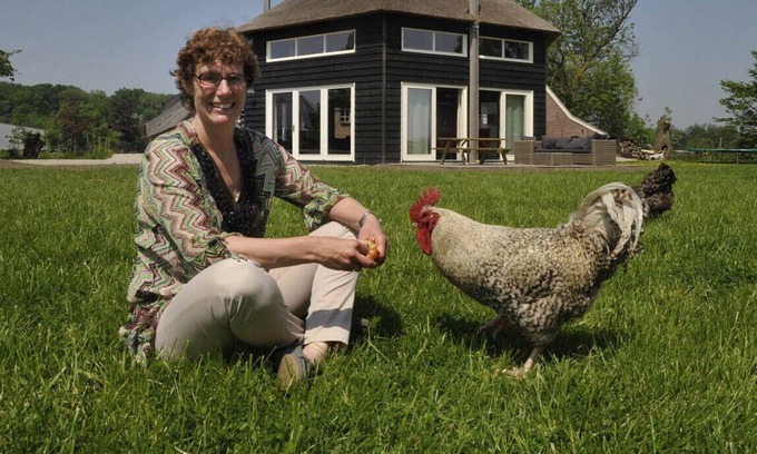 Municipality of Woerden House | Discover HooiHuys: Your Ideal Vacation House Getaway