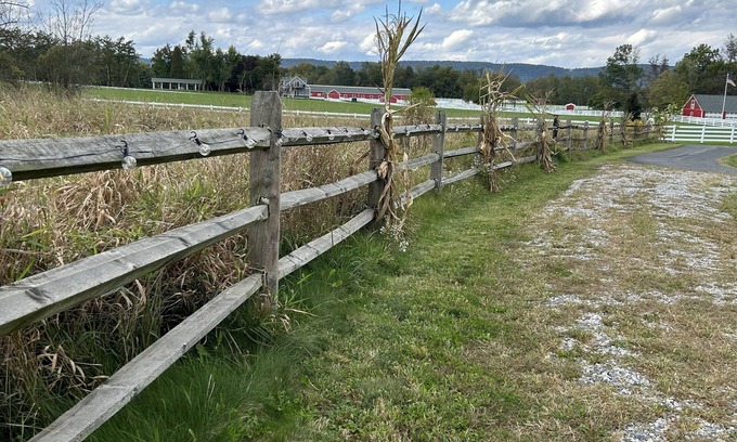Mechanicsburg Apartment | Tranquil HootinNanny Hideaway - Perfect Farm Stay Escape