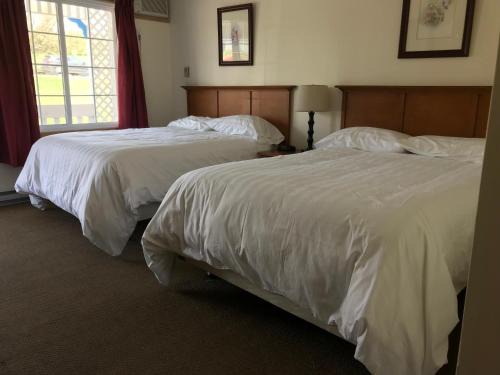 Hopewell Cape Hotel | Pet-Friendly Hopewell Rocks Motel with Ocean Views