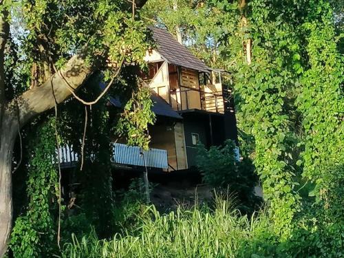 Udawalawa Hotel | Guest Rated 10/10 at Hornbill River Camp, Udawalawe