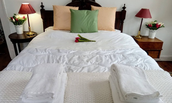 Carvalhal Benfeito Other | Experience Horses and Breakfast Awaits You in Portugal