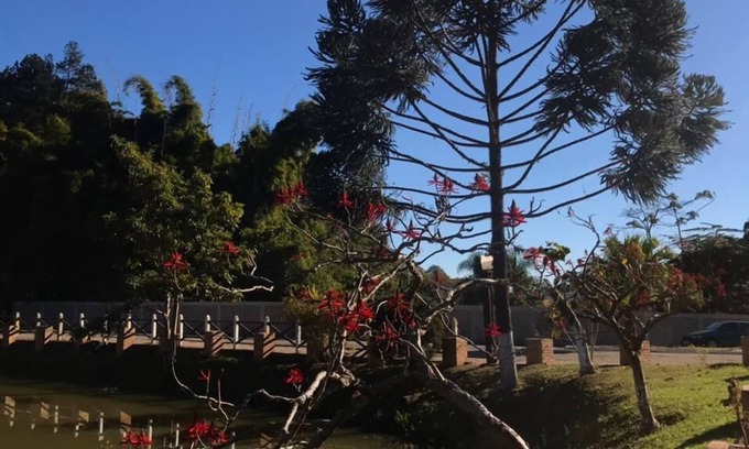 Cunha Hotel | Guest Rated 10/10: Clima do Lago - Family-Friendly Escape