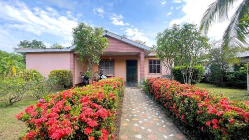 Ometepe Island House | Cozy Hostal Casa Enma: Pet-Friendly with Breakfast Included