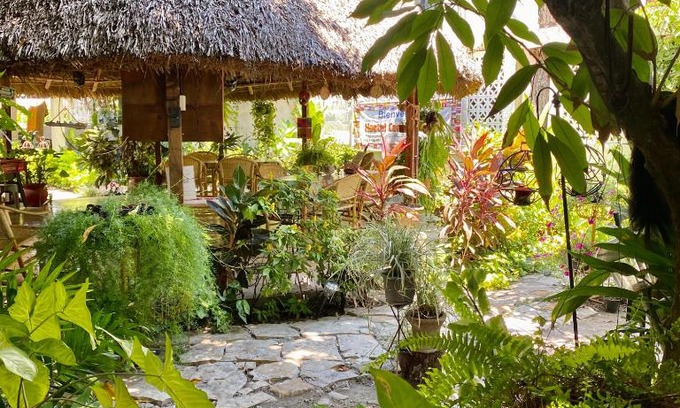 Zona Centro House | Cozy Hostal Casa Huasteca with Breakfast & Kitchen Access