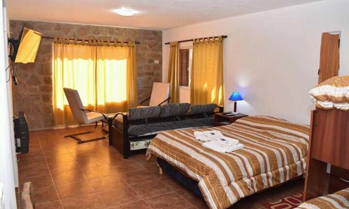 La Carolina Hotel | Discover Hostal "El Tomolasta": Pet-Friendly Retreat