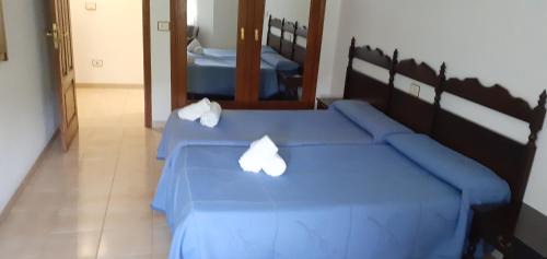 Entrimo House | Pet-Friendly Hostal Entrimeña 2: Guest Rated 9.1/10