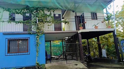 Moyogalpa Bed & Breakfast | Budget-Friendly Hostal Isla Natal: Pet & Child Friendly Stay