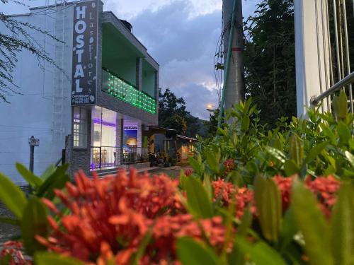 Capurgana Hotel | Discover Hostal Las Flores: Family-Friendly with Breakfast