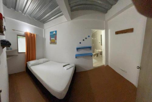 Palomino House | Eco-Friendly Hostal Paloma Café with Oceanfront Dining