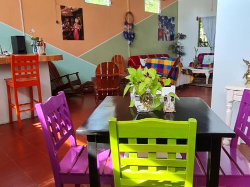 Moyogalpa House | Discover Hostal Tortuga Viajera: Pet-Friendly Retreat