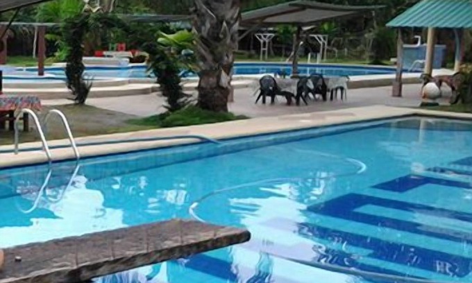 Tena Hotel | Relax at Hostería Las Heliconias with Pool and Spa Access