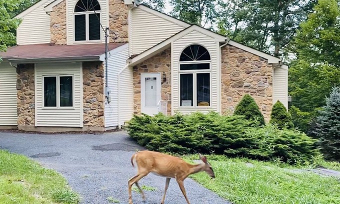 Bushkill House | Family Fun Awaits: Pool, Hot Tub & Game Room Included!