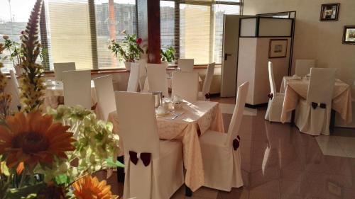 Centro Urbano Hotel | Comfortable Stay at Hotel Alexander with Pet-Friendly Amenities