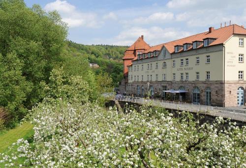 Hannoversch Munden Hotel | Discover Hotel Alter Packhof: Pet-Friendly & Family-Oriented