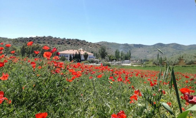 Colmenar Hotel | Discover Hotel Arco del Sol: Pool, Hot Tub & Great Reviews
