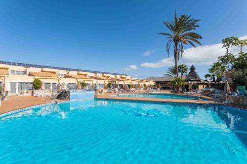 Corralejo Hotel | Oceanfront Hotel Arena Suite with Pool and Family Amenities