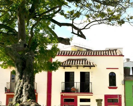Tunja Hotel | Discover Hotel Aroma del Bosque: Family-Friendly Retreat