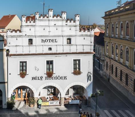 Trebon Hotel | Pet-Friendly Retreat at Hotel Bílý Koníček with Dining