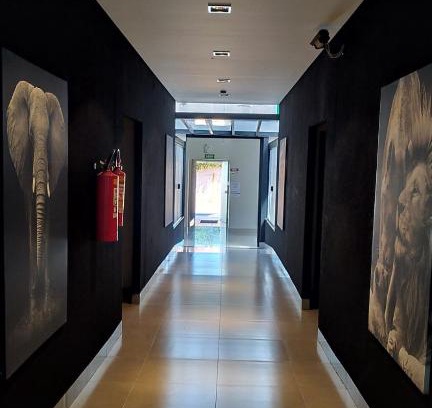 Primavera do Leste Hotel | Pet-Friendly Hotel Barril with Exceptional 9/10 Guest Rating