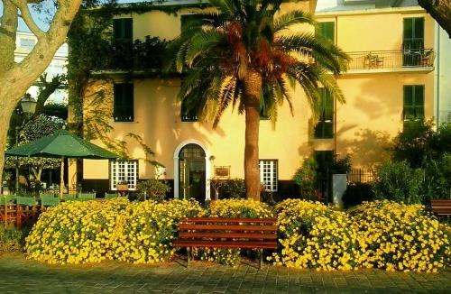 Alassio Hotel | Oceanfront Bliss at Hotel Beau Rivage - Guest Rated 9/10