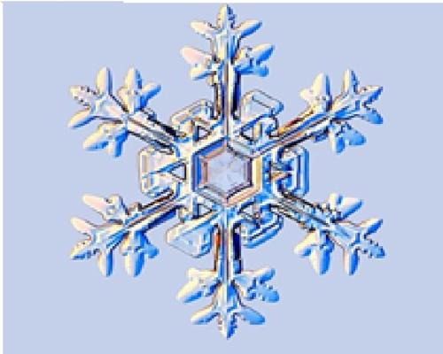 Chatel Hotel | Family-Friendly Stay at Hotel Bergerie Chatel Awaits You