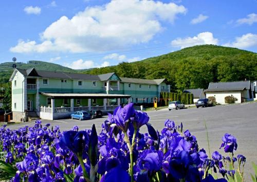 Dargov Hotel | Enjoy Breakfast at Hotel Biele Studničky Dargov - 8/10 Rated
