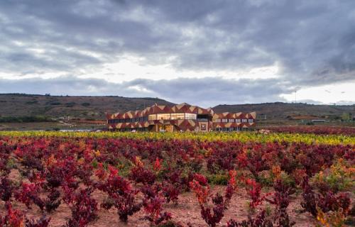 Navarrete Hotel | Explore Hotel Bodega FyA - Seaside Comfort with Spa Access