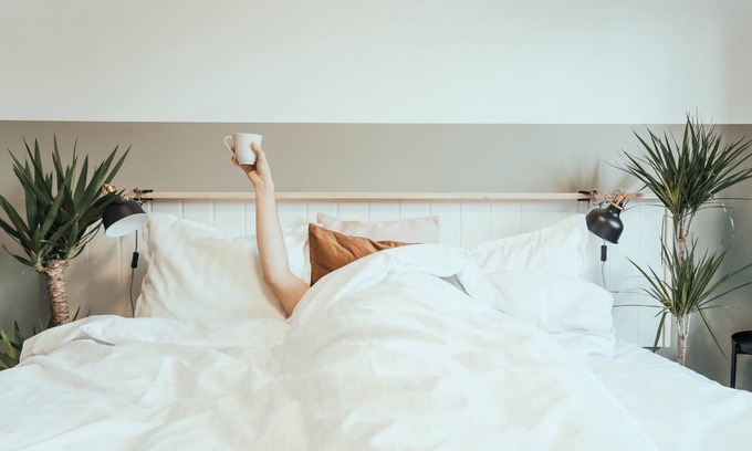 Uppsala Hotel | Discover Hotel Botanika Uppsala: Family-Friendly Getaway