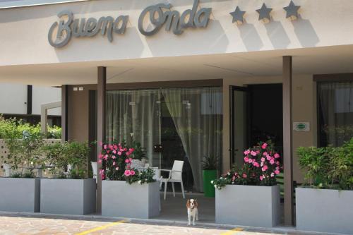 Peschiera del Garda Hotel | Exceptional Hotel Buena Onda: Oceanfront with Pool & Dining