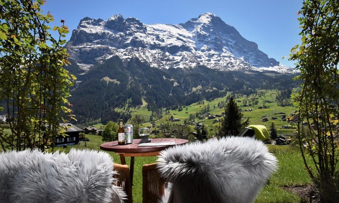 Grindelwald Hotel | Pet-Friendly Hotel Cabana: Top-Rated Oceanfront Retreat