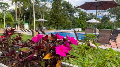 Armenia House | Pet-Friendly Hotel Campestre La Esperanza en Dios - 10/10 Rating