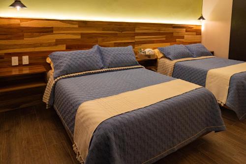 Tuxtla Gutierrez Apartment | Hotel Casa Tsumbak