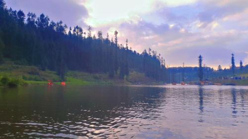 Lohaghat Hotel | Discover Cedar Heritage: 5-Star Stay with Pet-Friendly Amenities