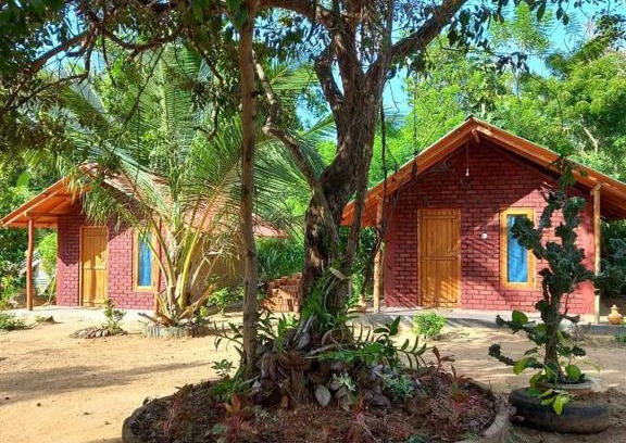 Ambanpola Hotel | Pet-Friendly Hotel Chanaya with Breakfast & Family Amenities