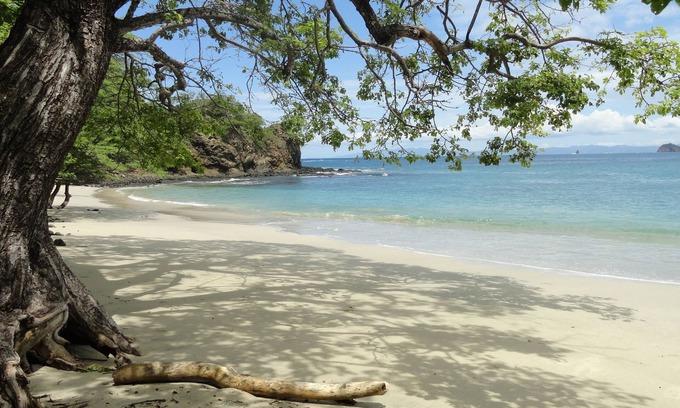 Coco Hotel | Tranquil Escape at Hotel Colono Beach with Pool & Spa