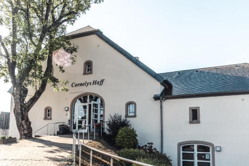 Luxembourg Ardennes Hotel | Discover Hotel Cornelyshaff: Pet-Friendly Getaway with Pool