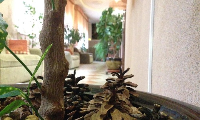 Leninskiy rayon Hotel | Pet-Friendly Retreat at Hotel Dama s Sobach'koy