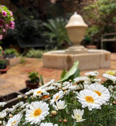 Perelada Hotel | Discover Hotel de La Font Peralada - Guest Rated 8.6/10