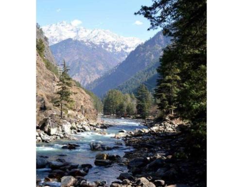 Kasol House | Family-Friendly Hotel Deep Forest in Kullu - Rated 9/10