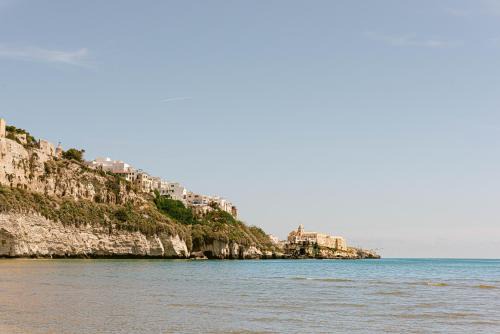 Vieste Hotel | Discover Hotel Degli Aranci: Oceanfront Escapes Await