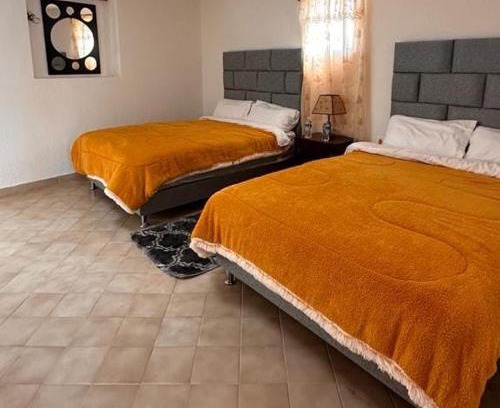 Mineral de Pozos Hotel | Discover Hotel Don Quijote: 5-Star, Pet-Friendly Retreat