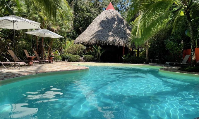 Samara Hotel | Discover Hotel El Pequeño Gecko Verde: Ocean View Oasis