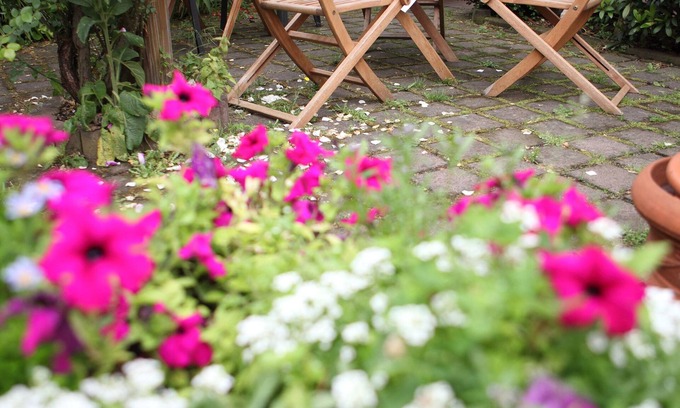 Seligenstadt Hotel | Discover Hotel Elysee: 9.2/10 with Spa and Child-Friendly Amenities