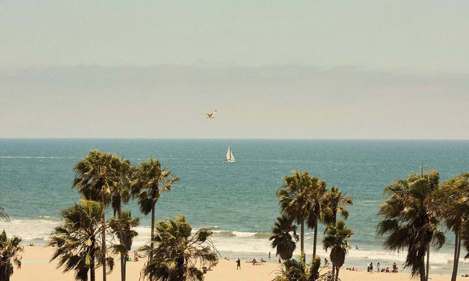 Venice Hotel | Experience Hotel Erwin Venice Beach: Ocean Views & Spa