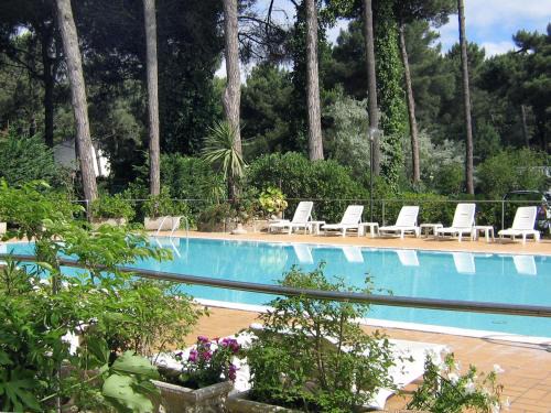 Lido di Spina Hotel | Experience Hotel Europa Park: Family-Friendly Oceanfront Stay