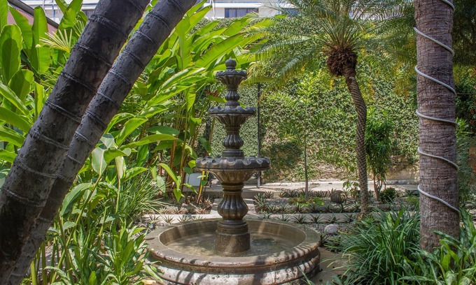 Tapachula Hotel | Discover Hotel Fénix: Relaxing Spa & Family-Friendly Dining