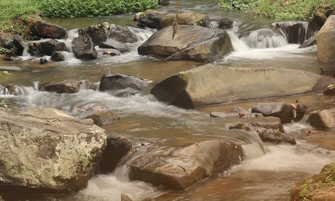 Chacara Paraiso Hotel | Discover Hotel Fazenda Jequitibá: Family-Friendly Retreat
