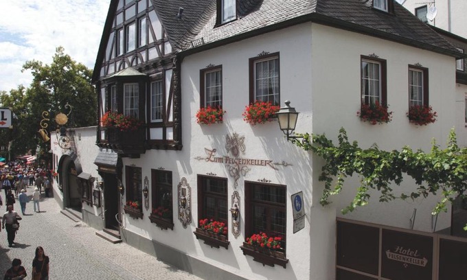 Mainz-Bingen Hotel | Pet-Friendly Hotel Felsenkeller with Great Amenities