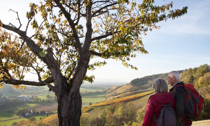 Unterglottertal Hotel | Discover Hotel Gasthaus Adler: Family-Friendly Comfort